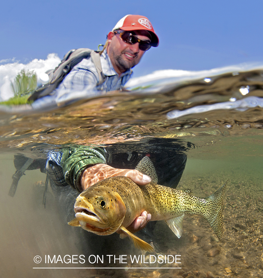 Fisherman with Cutthroat Trout. 