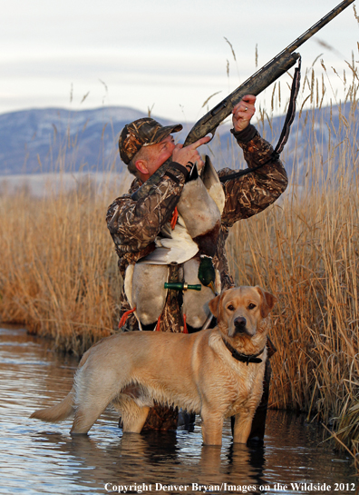 Duck hunter with bagged mallards and yellow labrador retriever. 