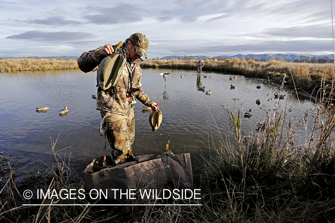 Hunter collecting decoys.