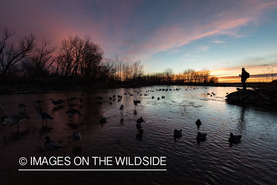 Waterfowl hunting