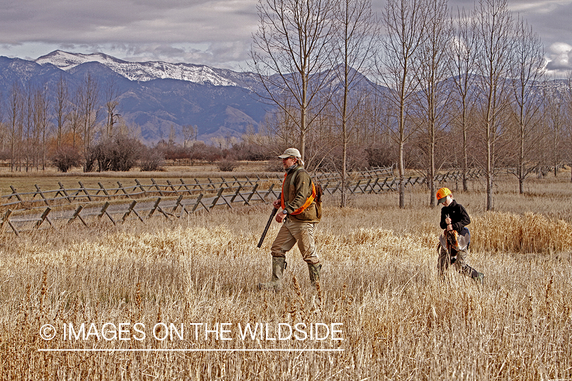 Father and son pheasant hunting. 