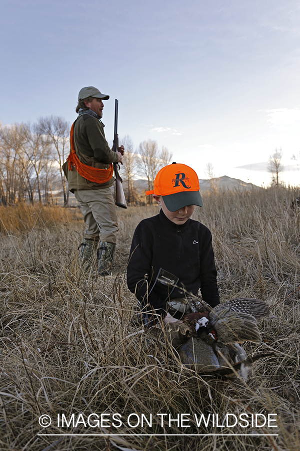 Father and son pheasant hunters with bagged pheasant. 