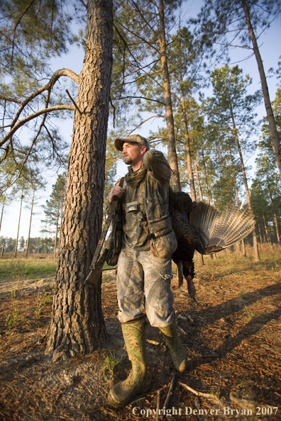 Turkey hunter in field with bagged bird