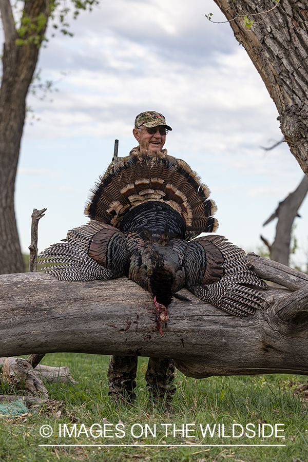 Hunter with bagged turkey.