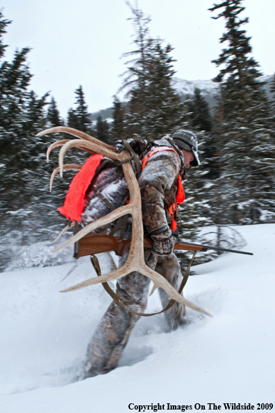 Hunter with elk rack