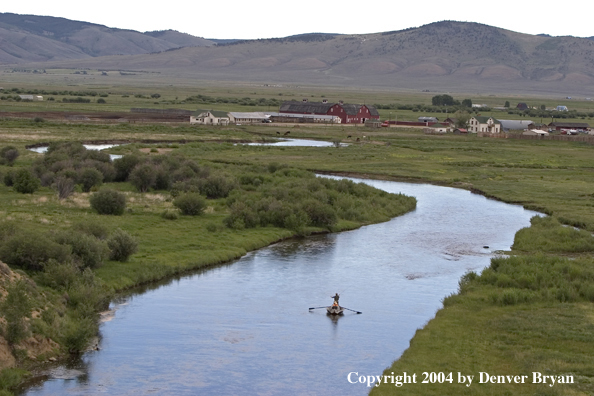 Flyfishermen fishing river from drift boat.  Summer.