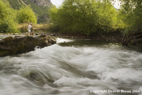 Flyfishermen fishing behind log.