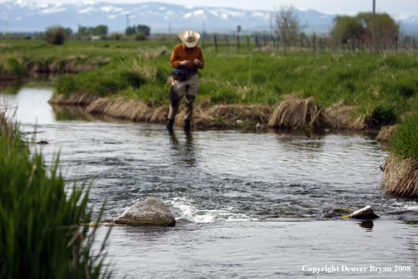 Flyfisherman fishing spring creek.