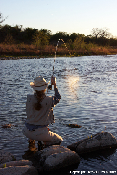 Woman freshwater flyfishing