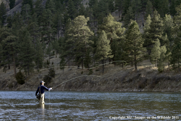 Flyfisherman casting in middle of river.