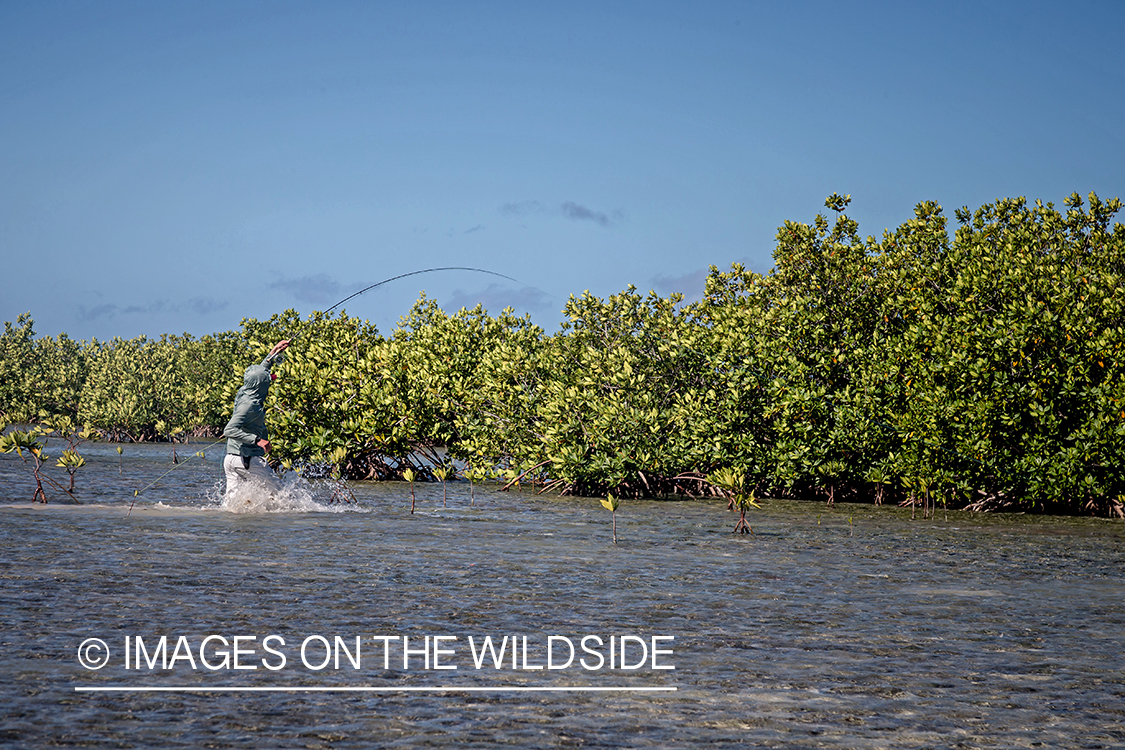 Flyfisherman fighting with fish.