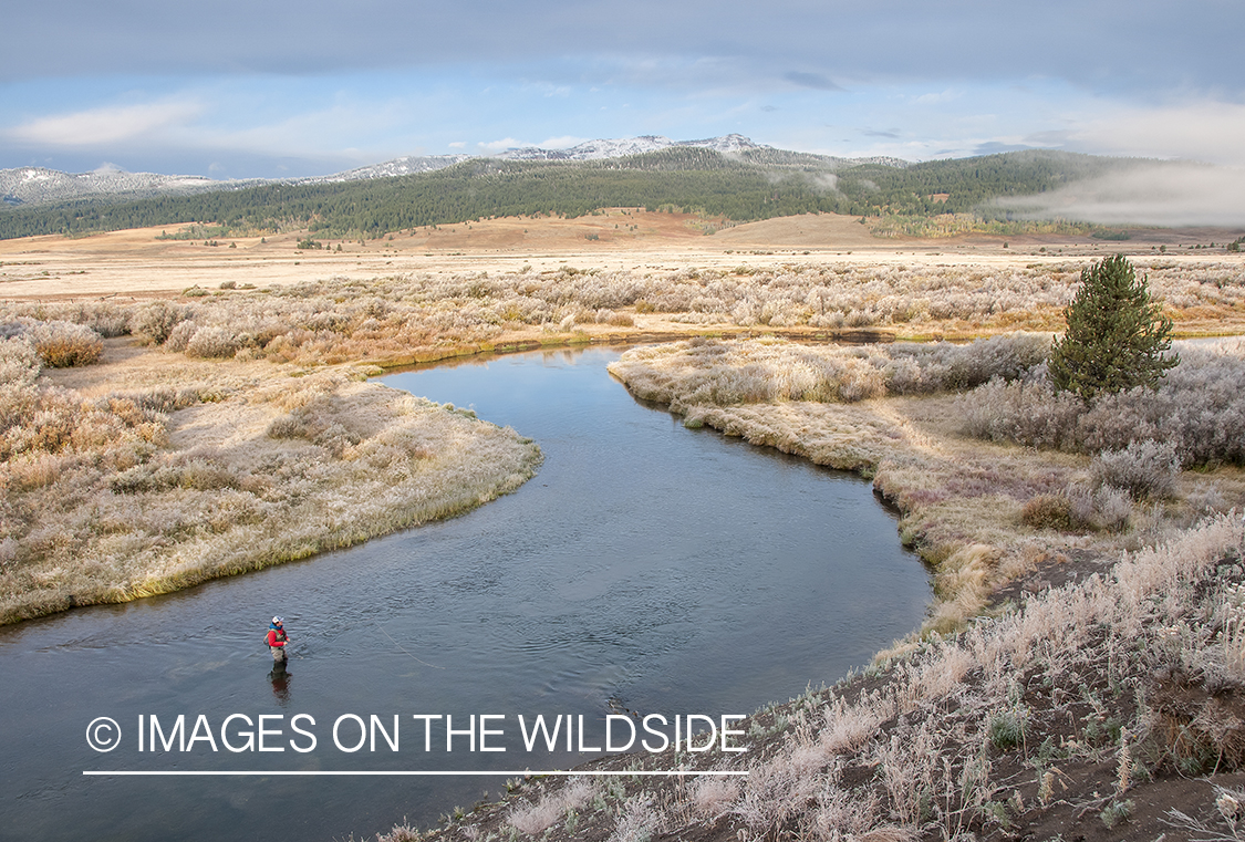 Flyfishing on South Fork Madison, Montana.