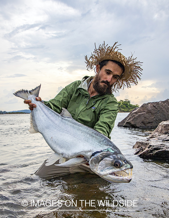 Flyfisherman with payara.