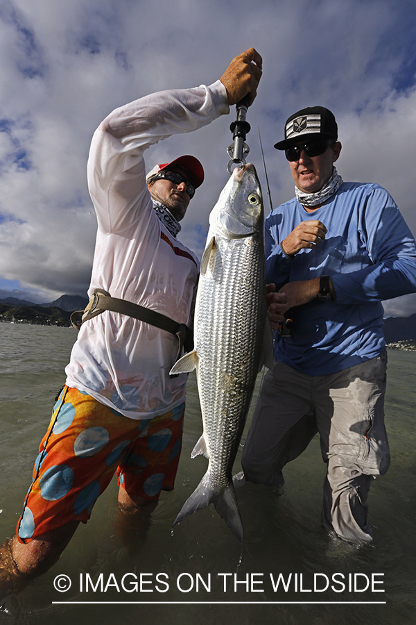 Saltwater flyfishermen with 13lb bonefish, in Hawaii.