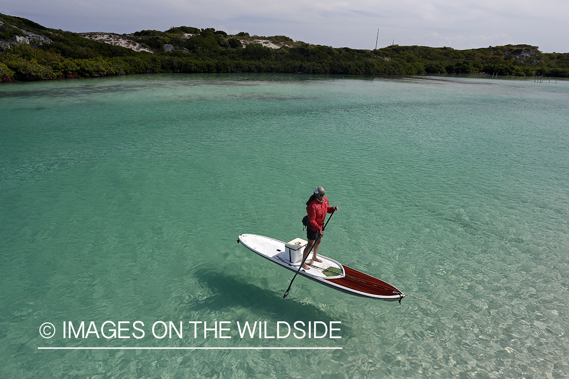 Saltwater flyfishing woman on paddle board on flats.