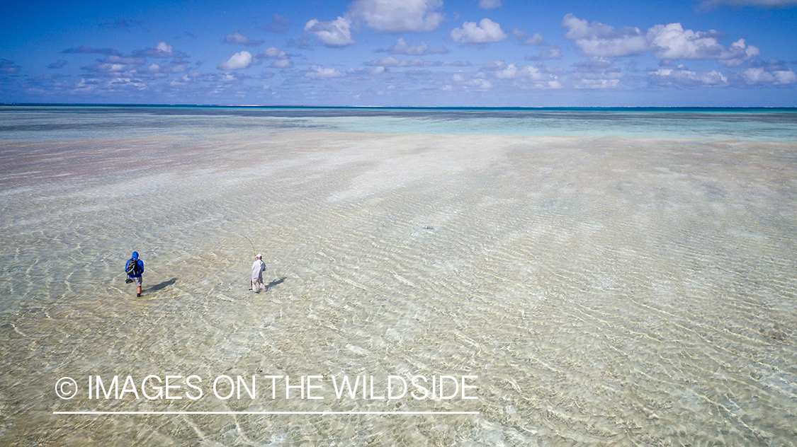 Drone aerial shot of fisherman on St. Brandon's Atoll Flats.