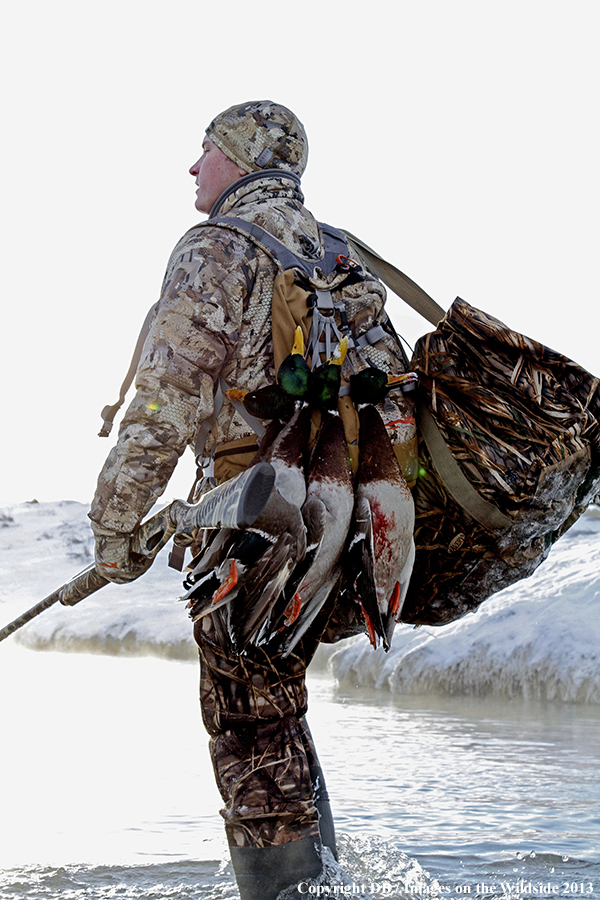 Waterfowl hunter in field.