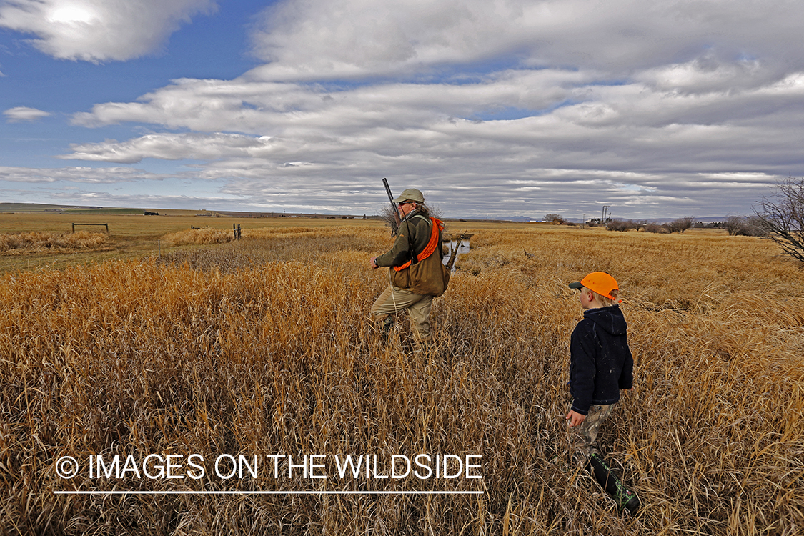 Father and son pheasant hunting. 