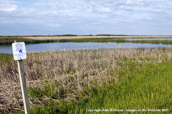 Sign posted on wetlands