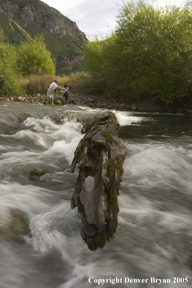 Flyfishermen fishing behind log.