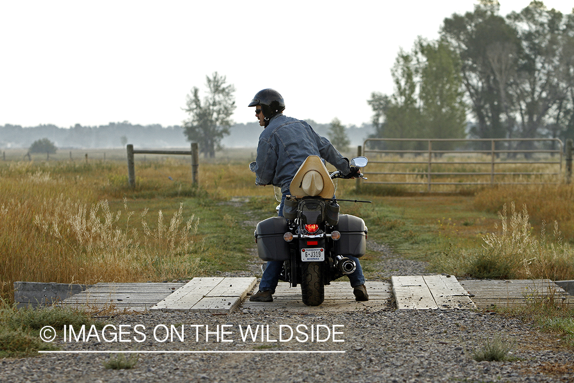 Flyfisherman on motorcyle checking stream for fish.