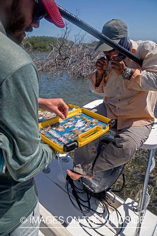 Flyfisherman checking flies.