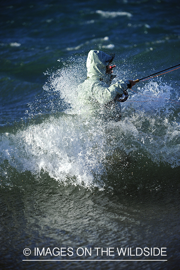 Jurassic Lake flyfisher fighting rainbow trout, Argentina.