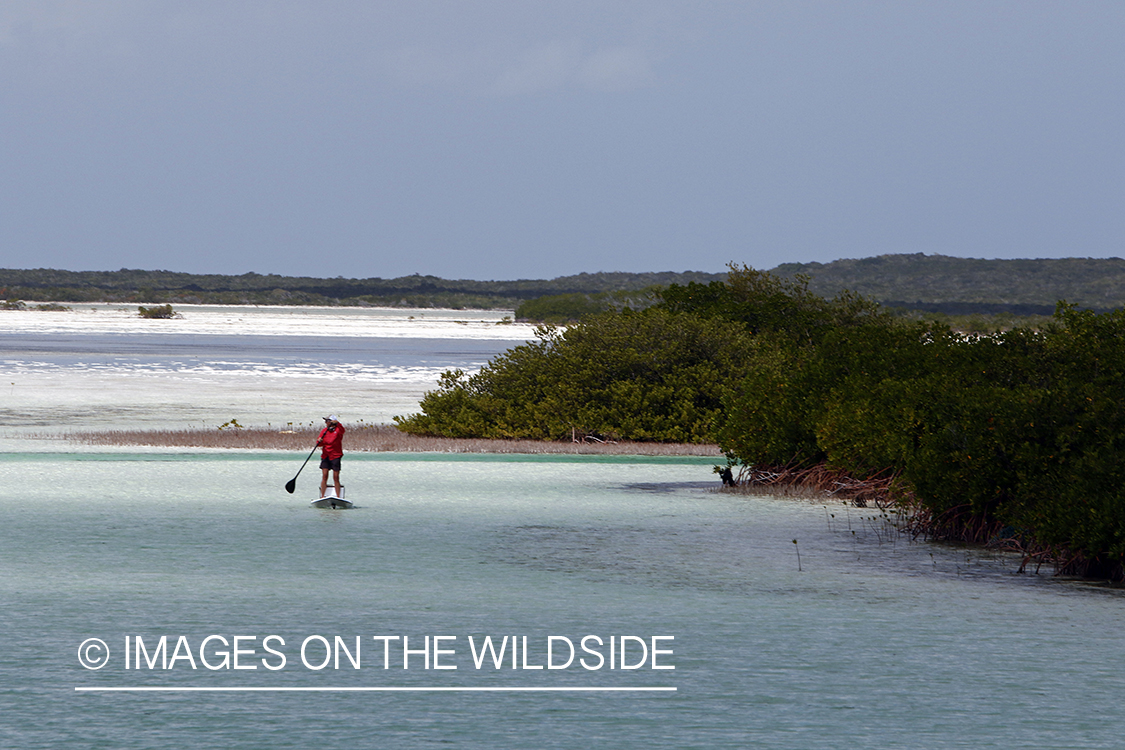 Saltwater flyfishing woman on paddle board on flats.