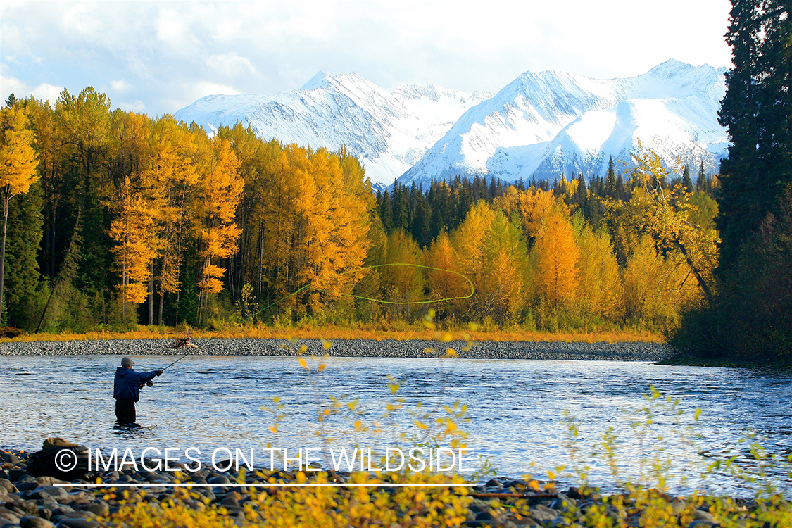 Flyfisherman on river. 