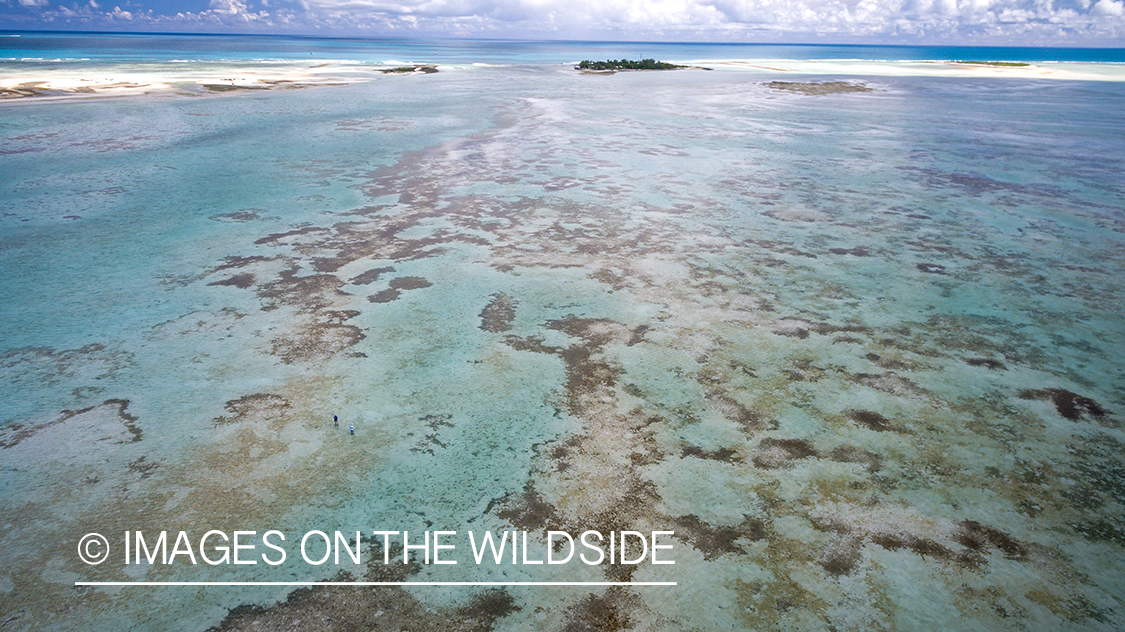 Drone aerial shot of fisherman on St. Brandon's Atoll Flats.