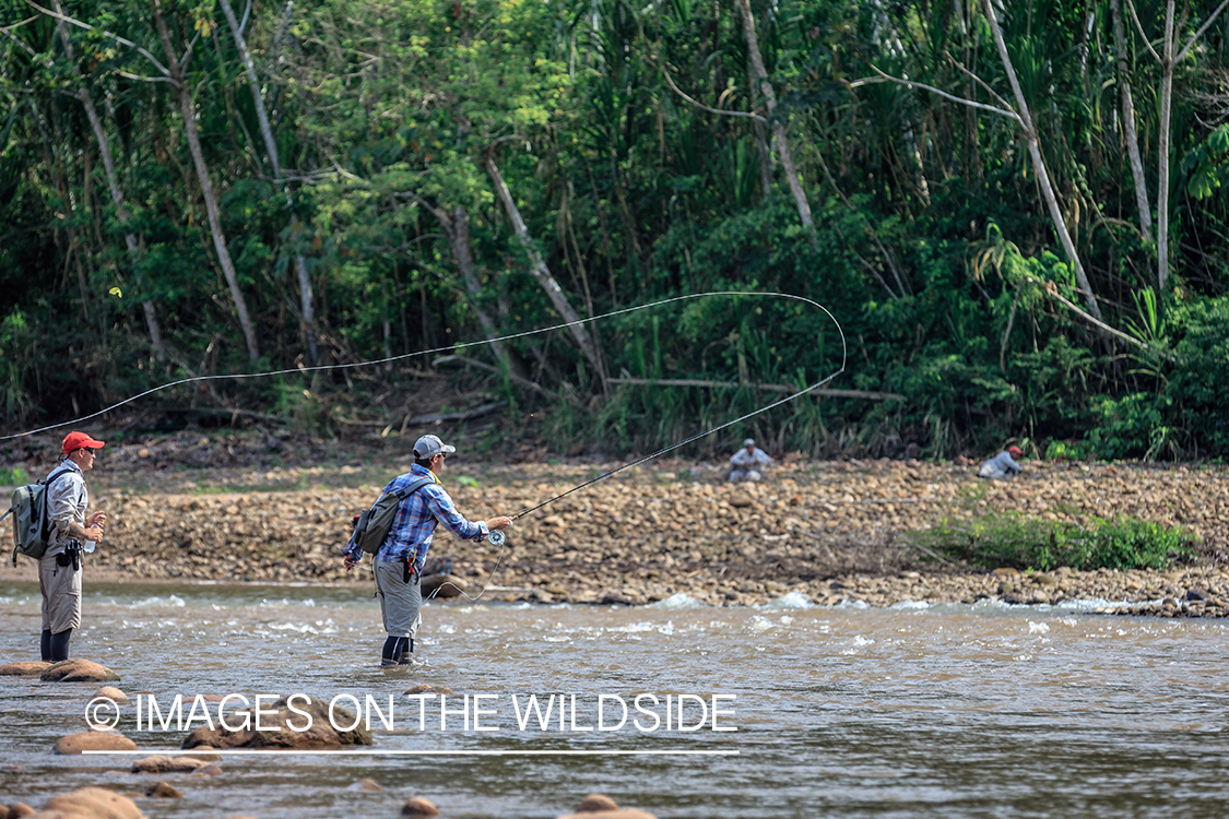 Flyfishing for Golden Dorado in Bolivia.