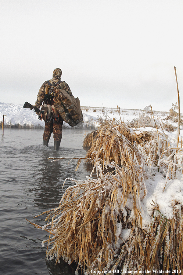 Waterfowl hunter in field.