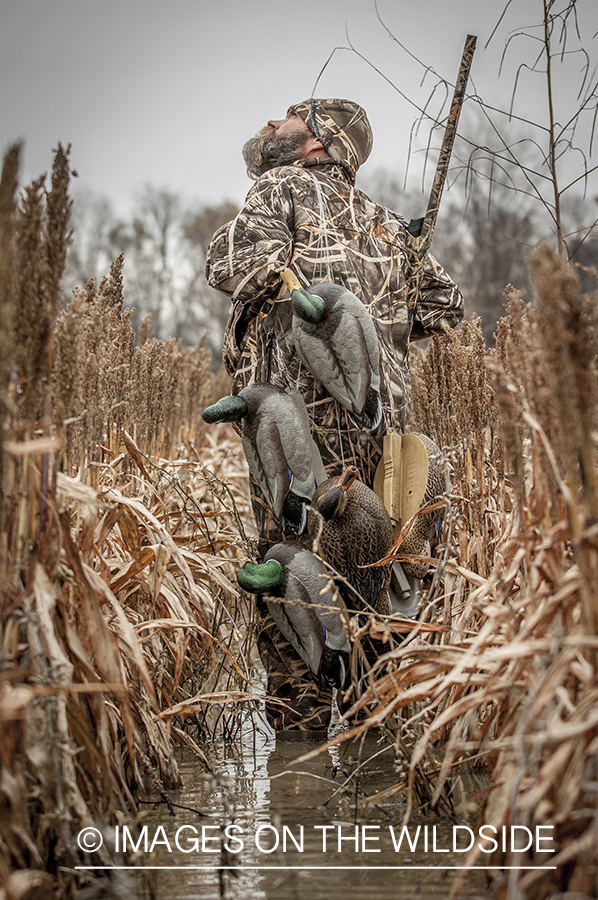 Waterfowl hunter setting up duck decoys.