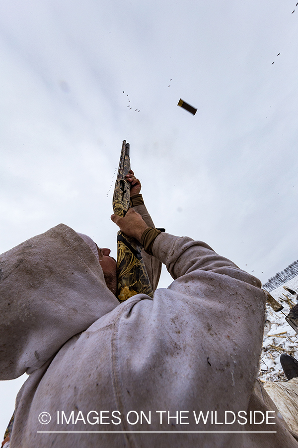 Hunter shooting geese.