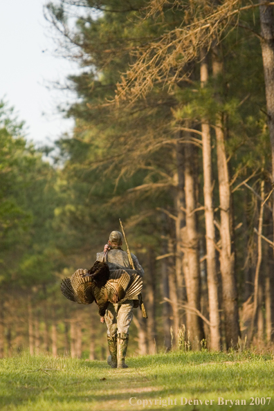 Turkey hunter in field with bagged bird