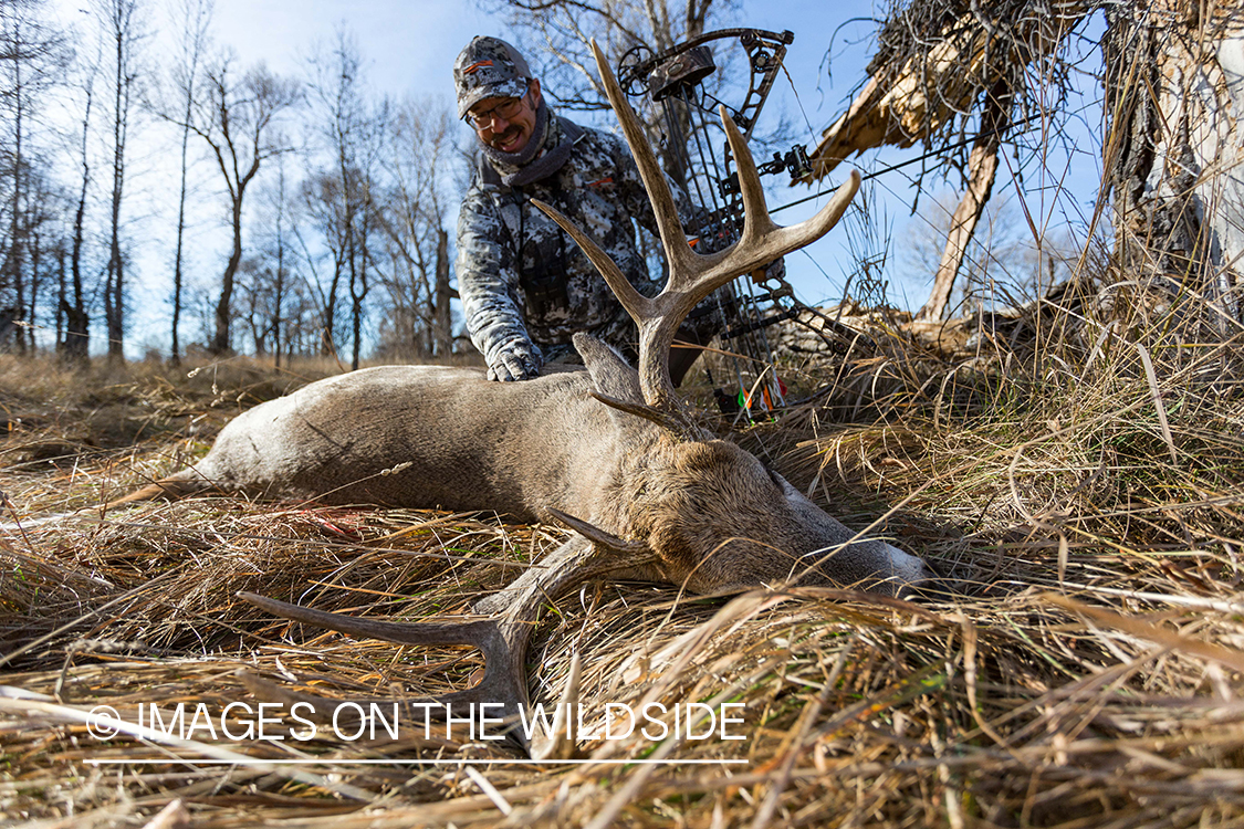 Bowhunter with bagged white-tailed buck. 