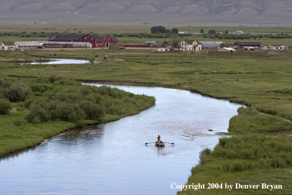 Flyfishermen fishing river from drift boat.  Summer.