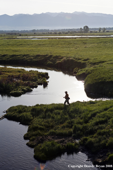 Flyfisherman fishing spring creek.