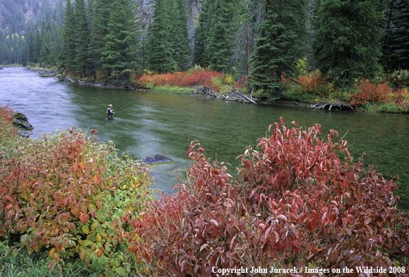 Freshwater Flyfishing