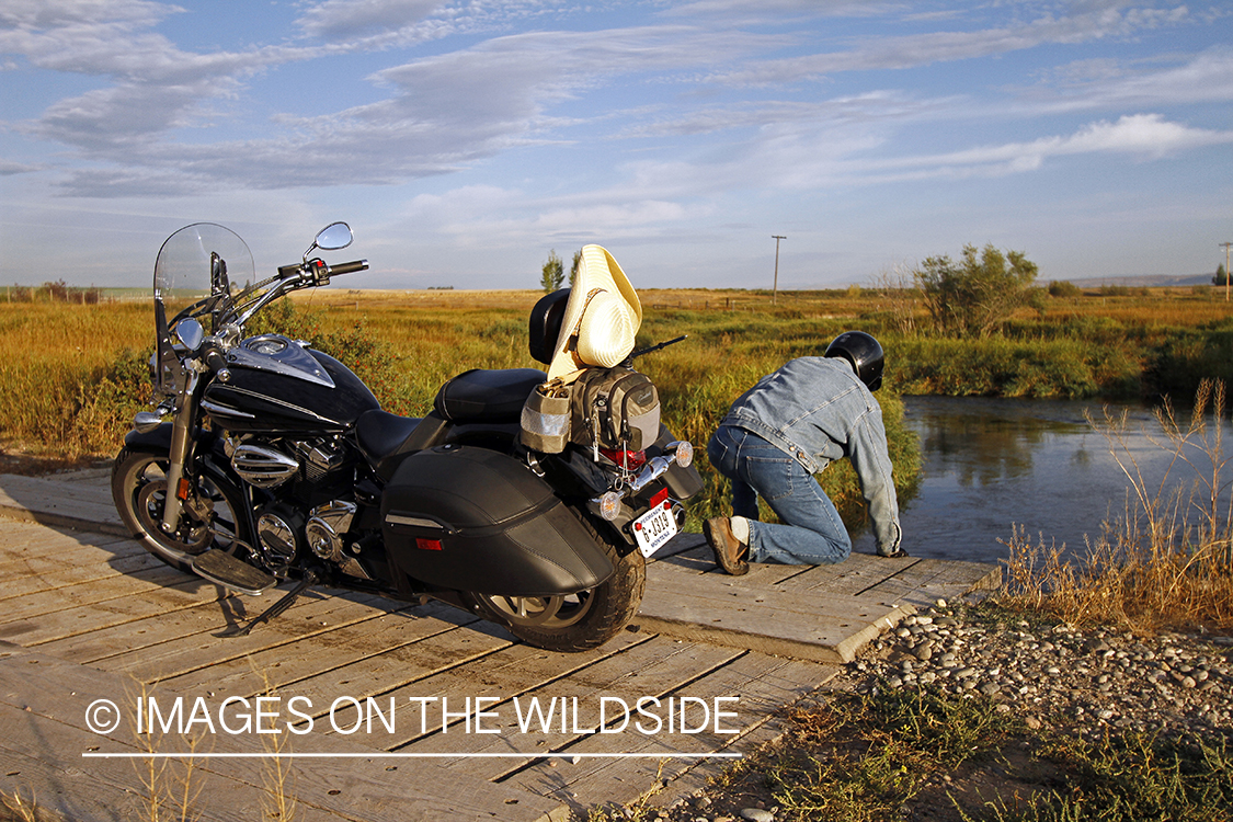 Flyfisherman on motorcyle checking stream for fish.