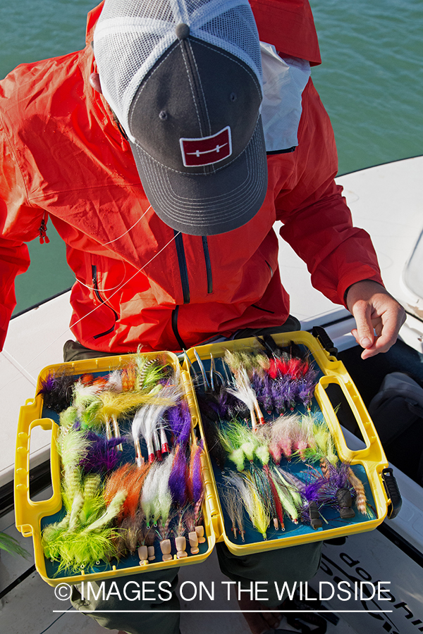 Flyfisherman checking flies.