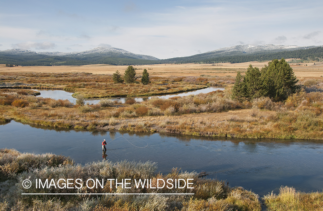 Flyfishing on South Fork Madison, Montana.