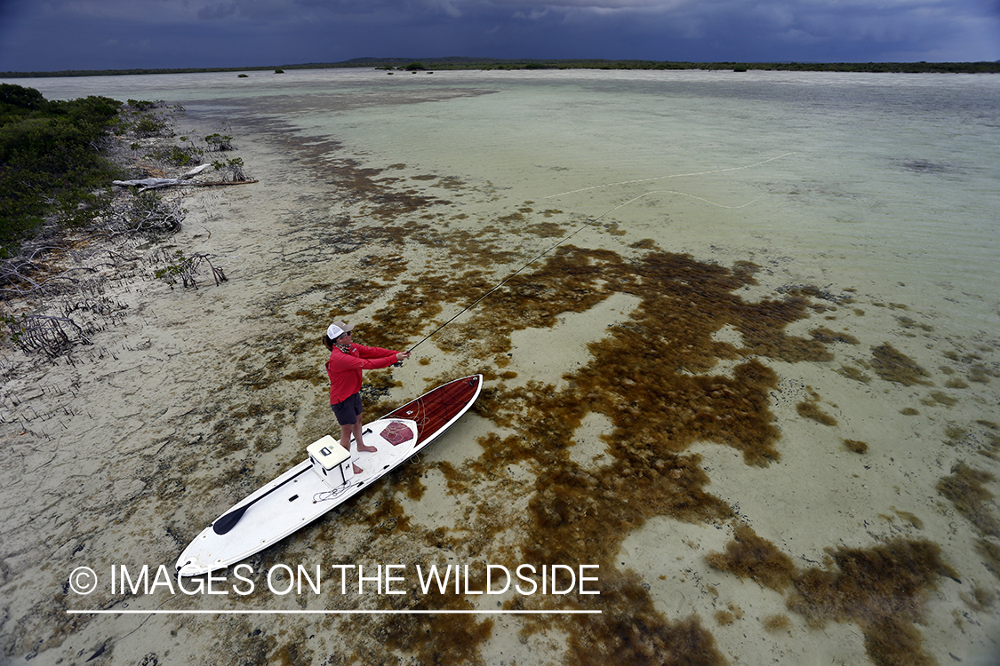 Saltwater flyfishing woman on paddle board casting line on flats.