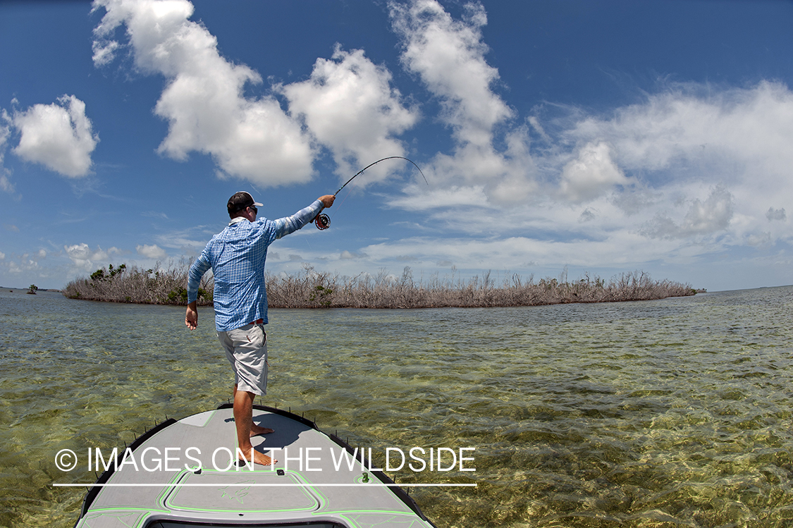 Flyfisherman fighting bonefish.