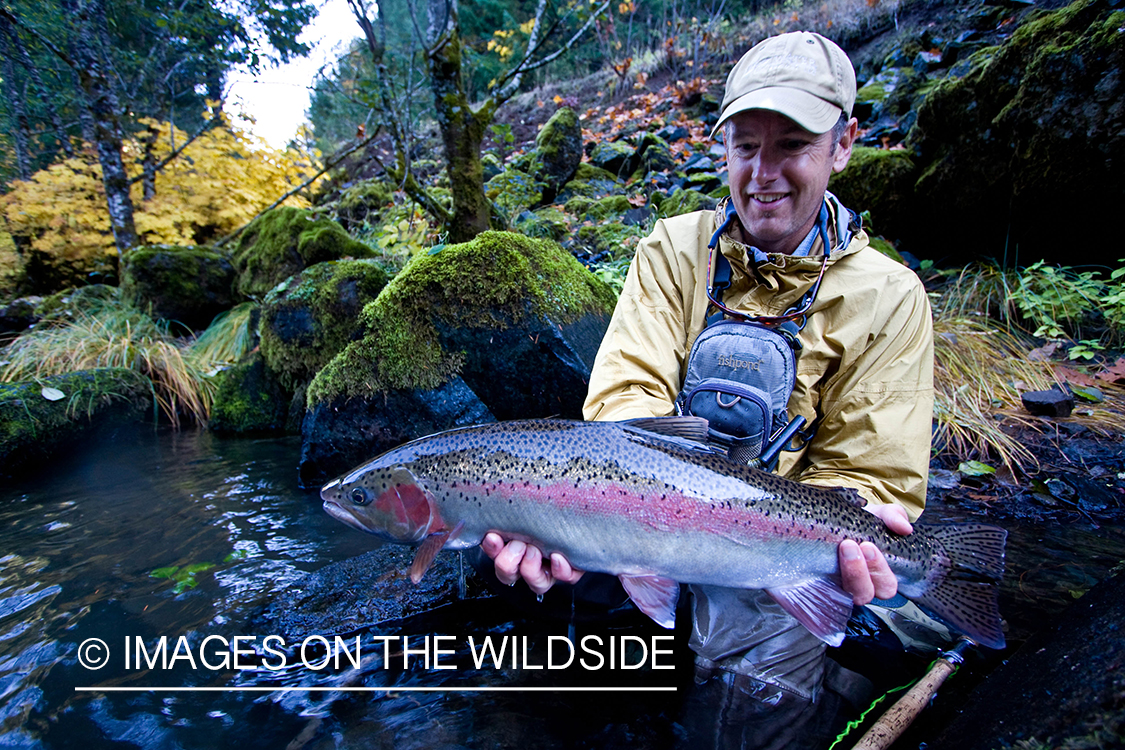 Flyfisherman with Steelhead.