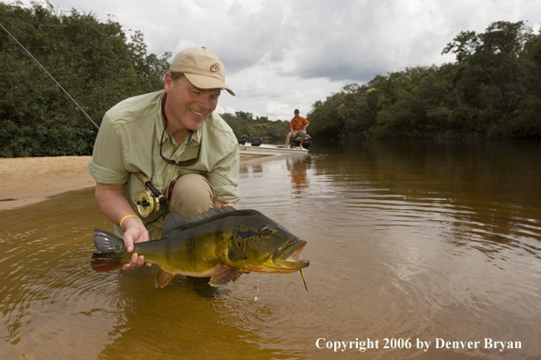 Fisherman holding Peacock Bass