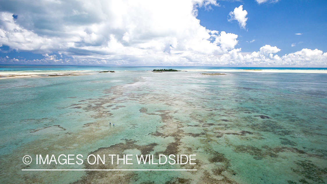 Drone aerial shot of fisherman on St. Brandon's Atoll Flats.