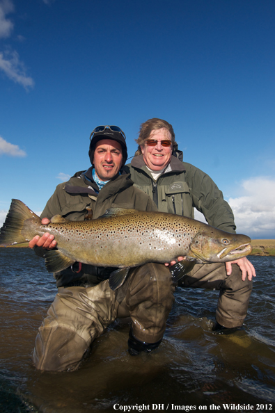 Flyfisherman with large brown trout. 