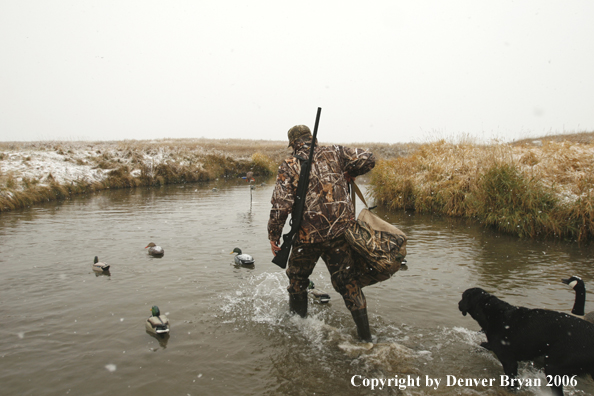 Duck hunting in winter