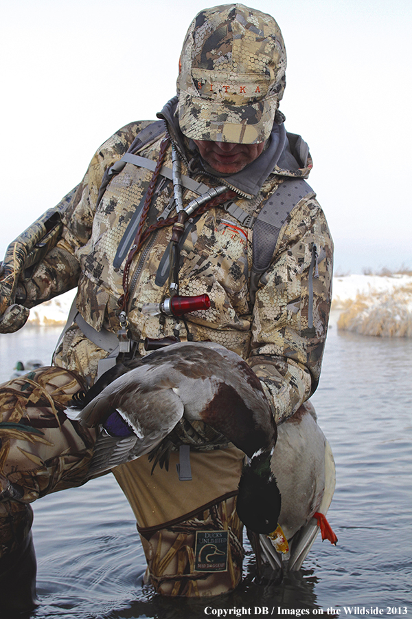 Waterfowl hunter with downed waterfowl.